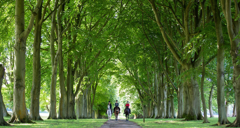 Lucknam Park Equestrian Centre